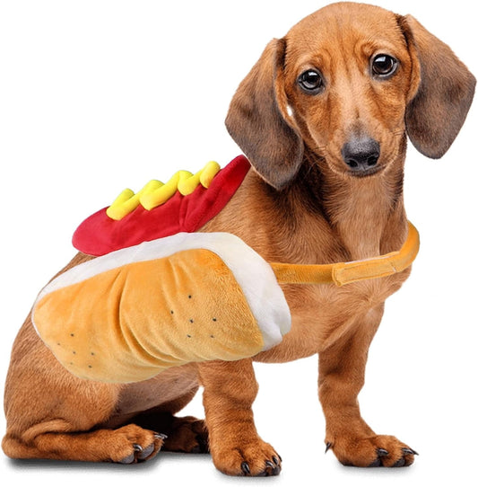 Hot Digitty Dog 